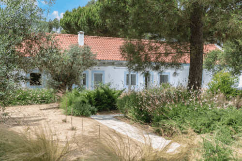 PF40998 - Quinta 4.6 ha, Melides, Grandola - Imagem 3