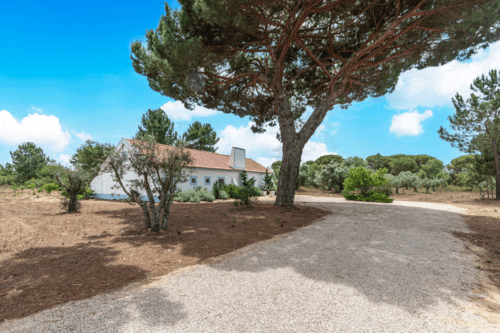 PF40998 - Quinta 4.6 ha, Melides, Grandola - Imagem 1