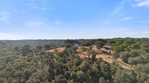 PF41106 - Herdade 176.6 ha, Montemor-o-Novo - Imagem 7