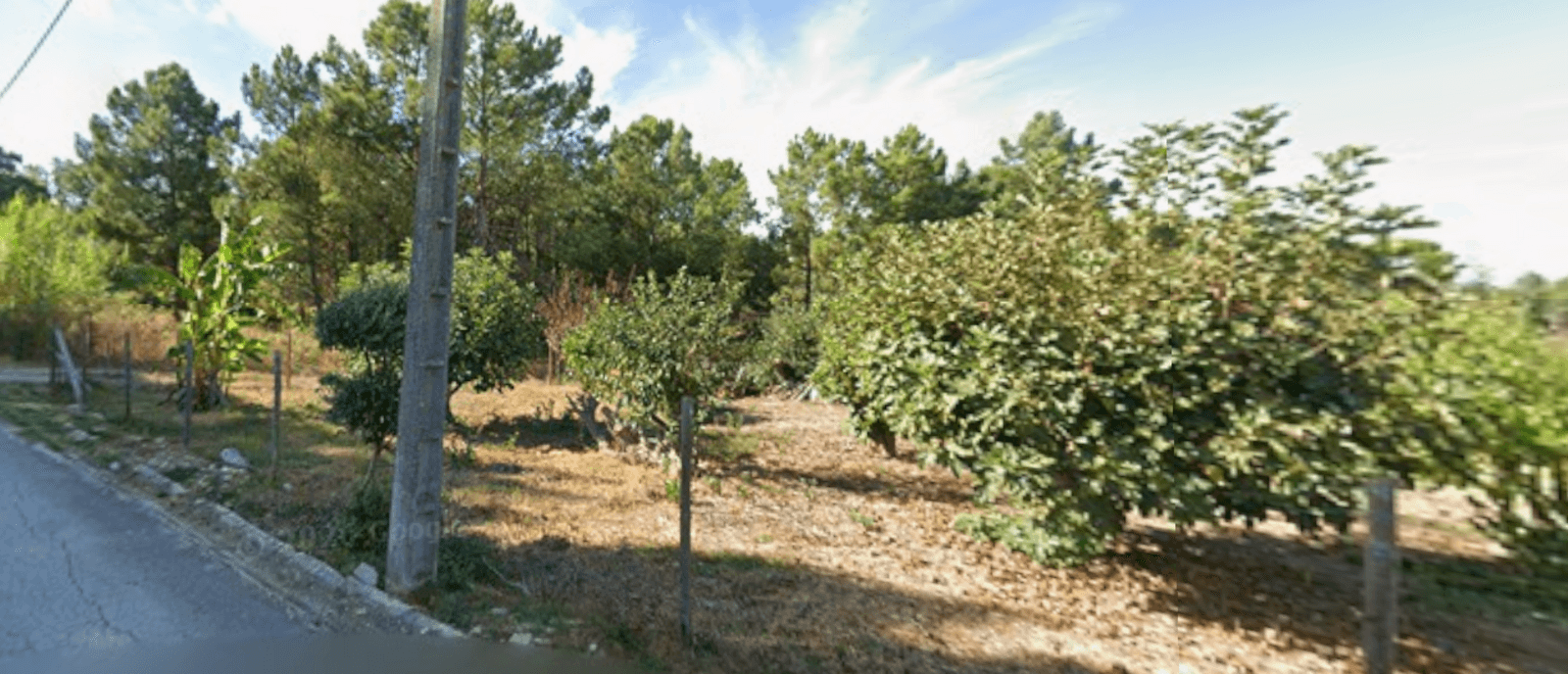 Urban land 1275 m2 - Image 3