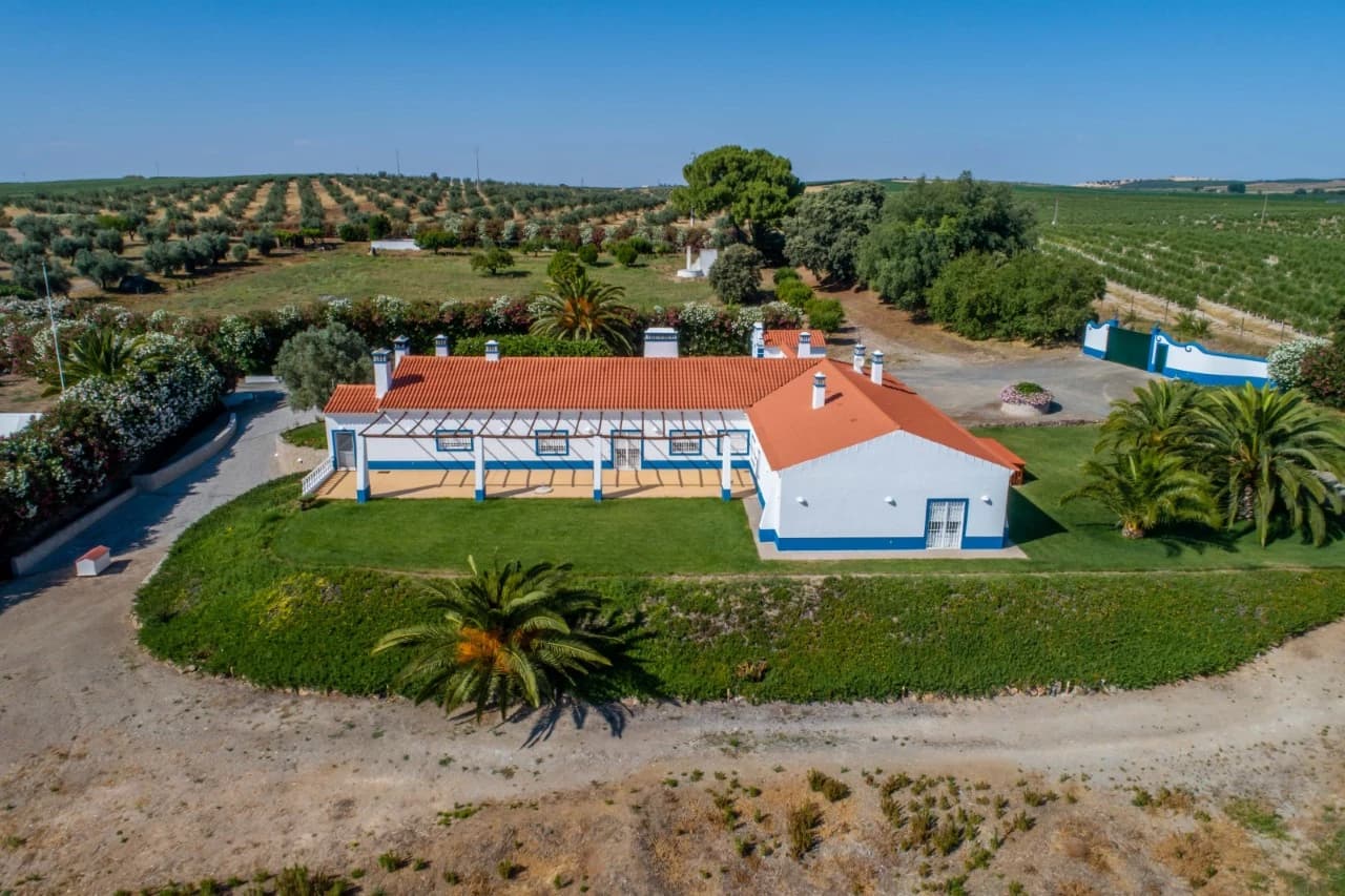 Quinta 29.1 ha, Ferreira do Alentejo - Imagem 3