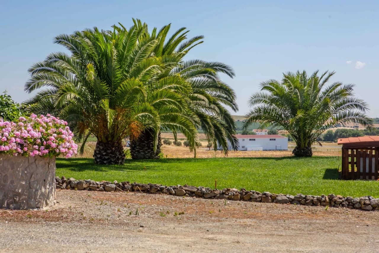 Quinta 29.1 ha, Ferreira do Alentejo - Imagem 26