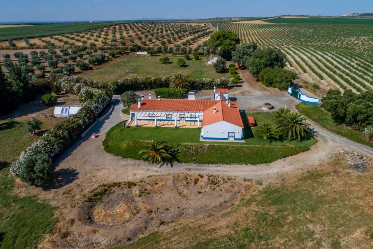 Quinta 29.1 ha, Ferreira do Alentejo - Imagem 35
