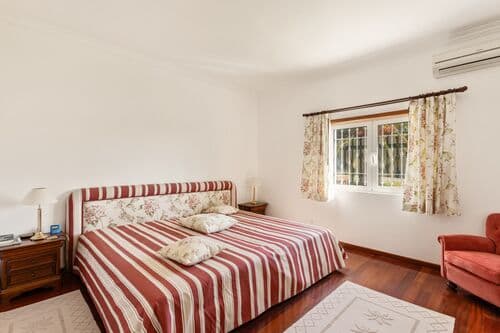 PF41138 - Farm 29.1 ha, Ferreira do Alentejo - Image 20