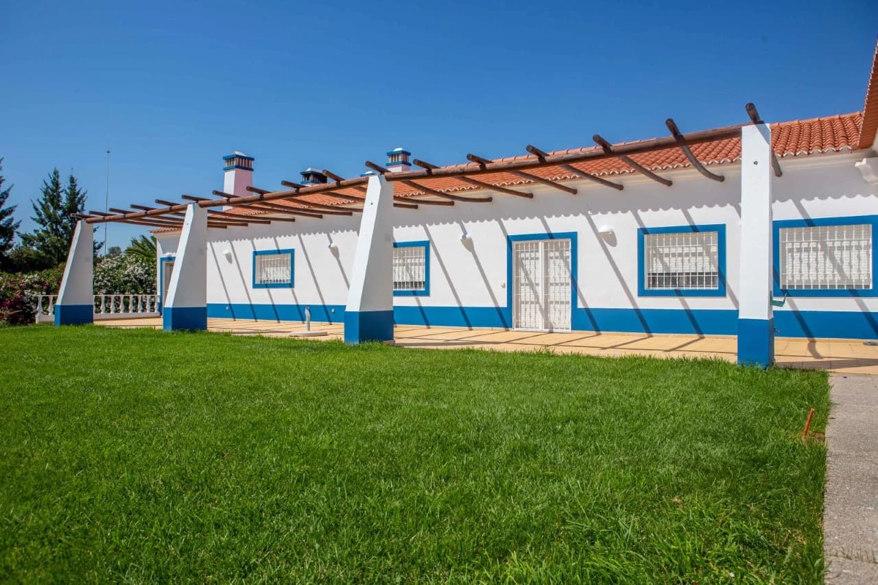 PF41138 - Farm 29.1 ha, Ferreira do Alentejo - Image 15