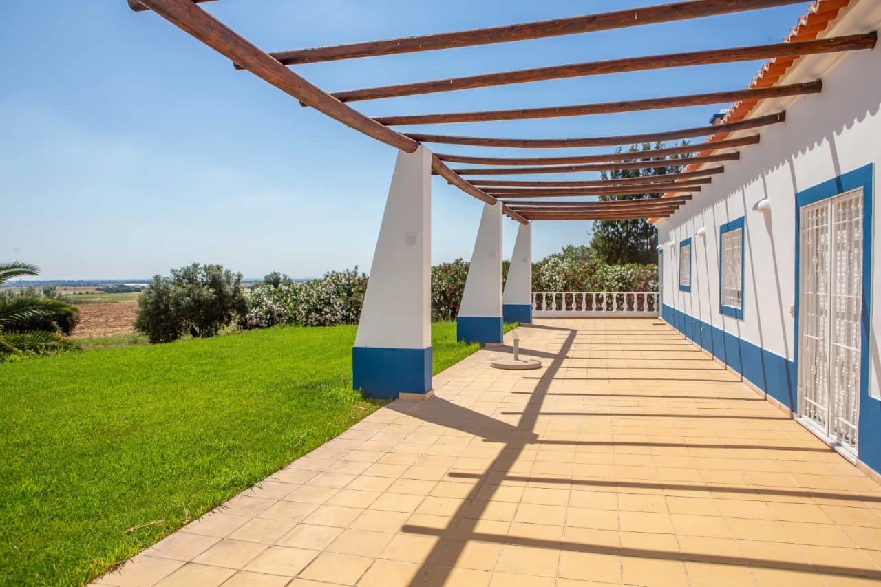PF41138 - Quinta 29.1 ha, Ferreira do Alentejo - Imagem 5
