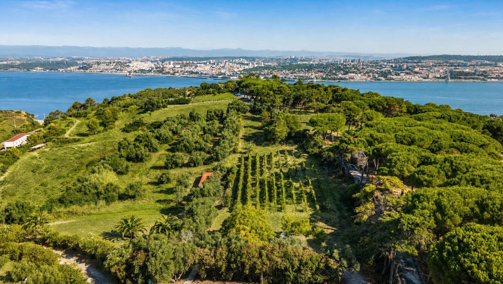 Farm 7.9 ha, Trafaria, Almada - Image 15
