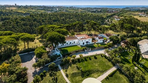 PF41336 - Farm 7.9 ha, Trafaria, Almada - Image 13