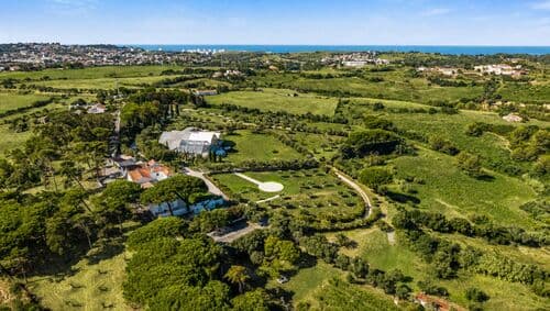 PF41336 - Farm 7.9 ha, Trafaria, Almada - Image 19