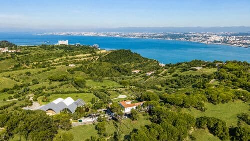 PF41336 - Farm 7.9 ha, Trafaria, Almada - Image 24