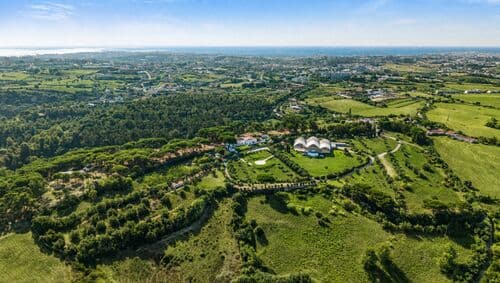 PF41336 - Farm 7.9 ha, Trafaria, Almada - Image 25