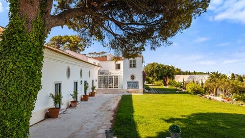 PF41336 - Farm 7.9 ha, Trafaria, Almada - Image 8