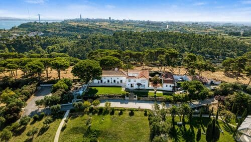 PF41336 - Farm 7.9 ha, Trafaria, Almada - Image 12