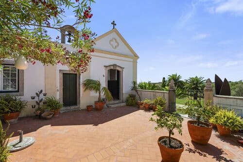 PF41336 - Farm 7.9 ha, Trafaria, Almada - Image 10