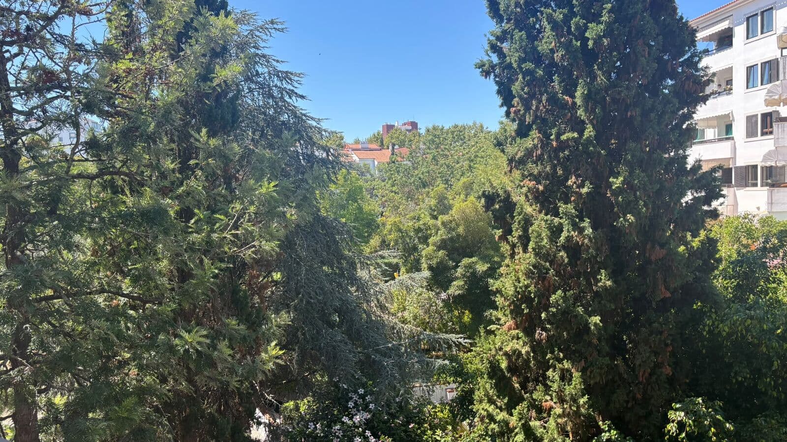 Apartamento T4 com estacionamento, Monte Estoril, Cascais - Imagem 38