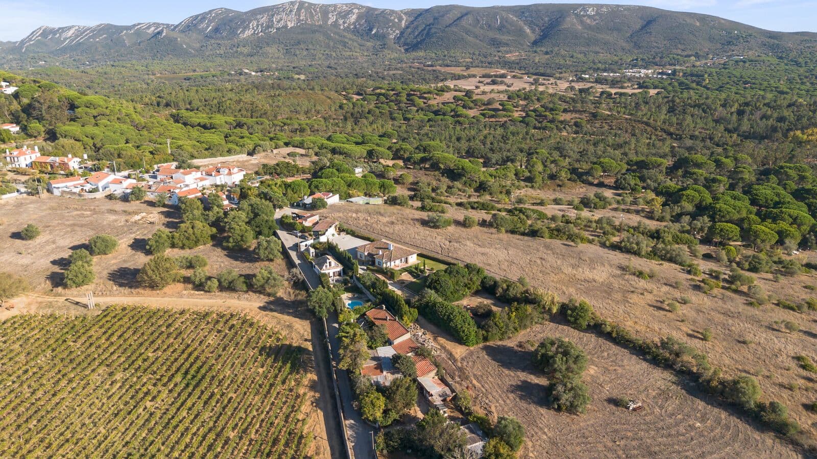 Quinta 9000 m2, Azeitão, Setúbal - Imagem 6