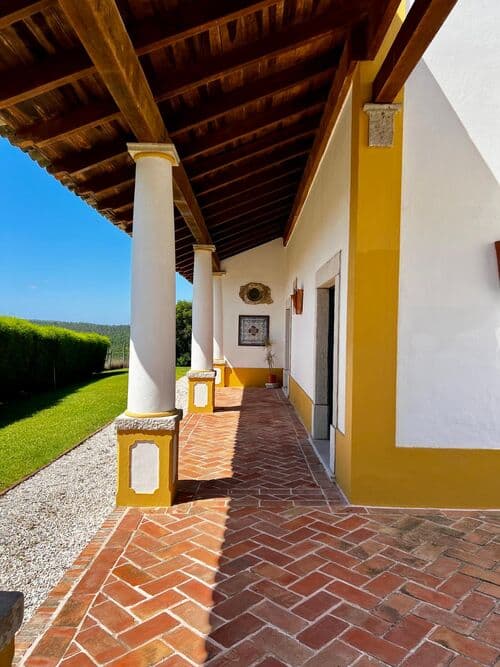 PF41825 - Quinta 9000 m2, Azeitão, Setúbal - Imagem 7