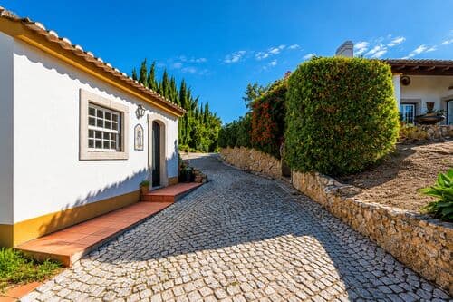 PF41825 - Quinta 9000 m2, Azeitão, Setúbal - Imagem 18